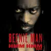 Beenie Man - Hmm Hmm (Remix) - Single